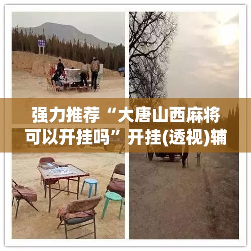 强力推荐“大唐山西麻将可以开挂吗”开挂(透视)辅助神器