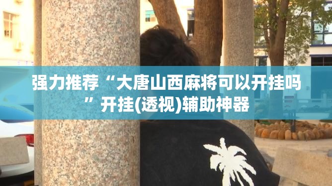 强力推荐“大唐山西麻将可以开挂吗”开挂(透视)辅助神器