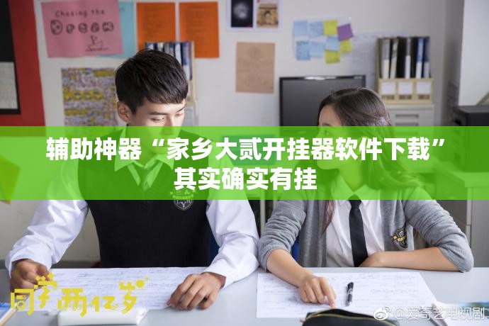 辅助神器“家乡大贰开挂器软件下载”其实确实有挂