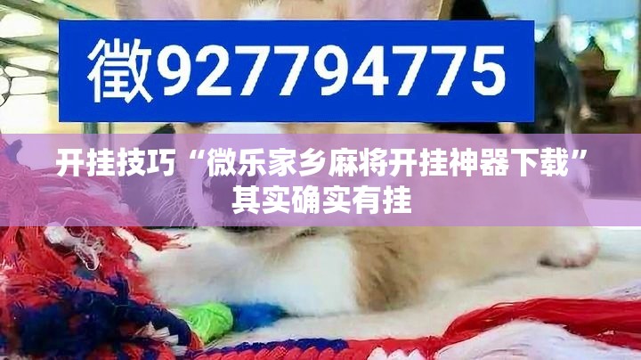 开挂技巧“微乐家乡麻将开挂神器下载	”其实确实有挂