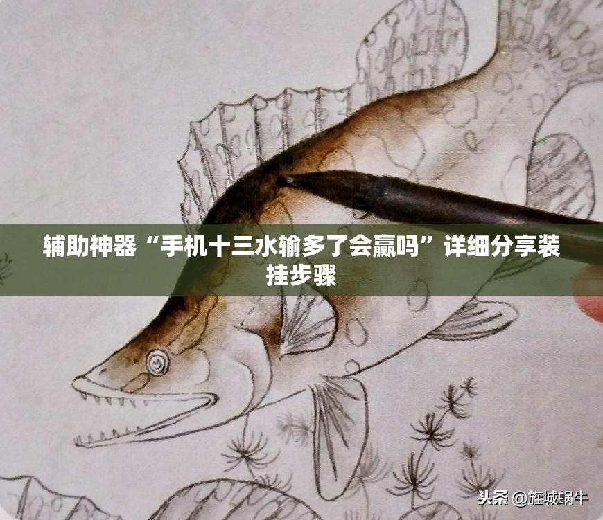 辅助神器“手机十三水输多了会赢吗”详细分享装挂步骤
