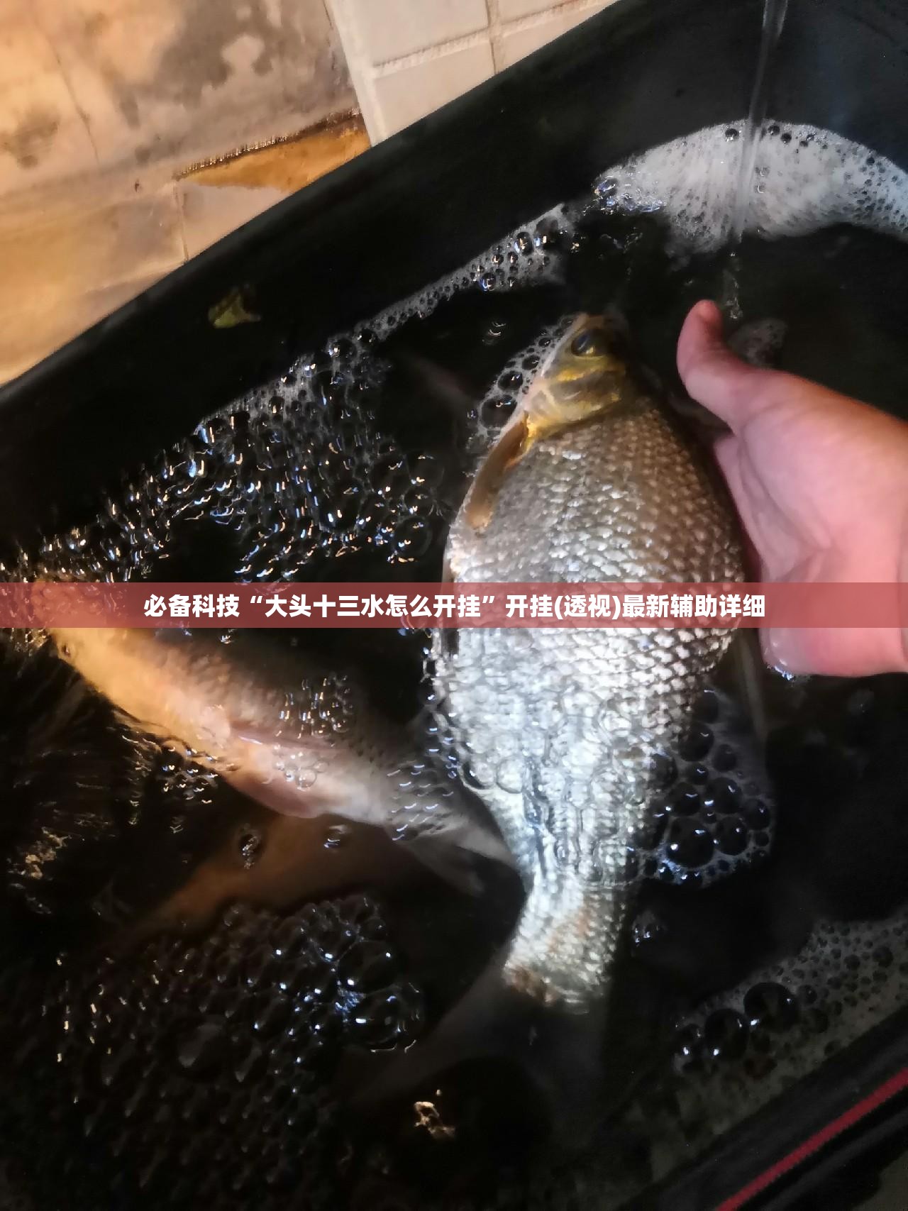 必备科技“大头十三水怎么开挂”开挂(透视)最新辅助详细