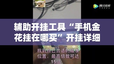 辅助开挂工具“手机金花挂在哪买”开挂详细教程