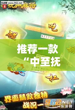 推荐一款“中至抚州麻将可以装挂吗”细辅助教程分享