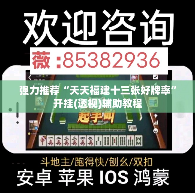 强力推荐“天天福建十三张好牌率”开挂(透视)辅助教程