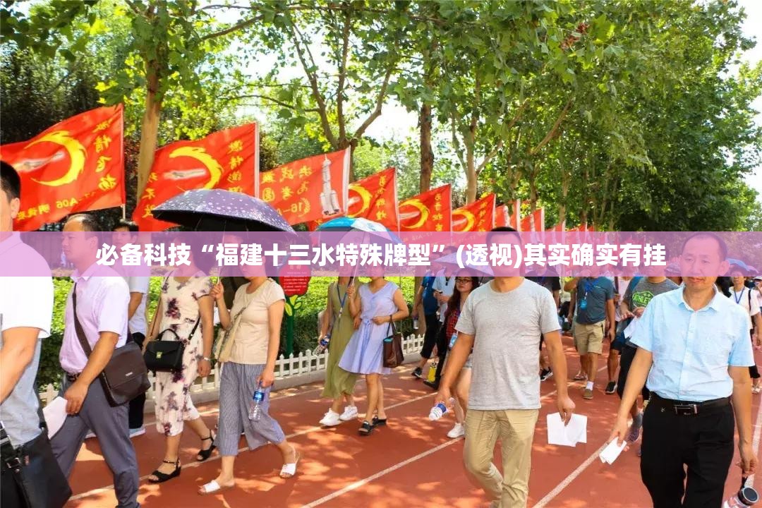 必备科技“福建十三水特殊牌型”(透视)其实确实有挂