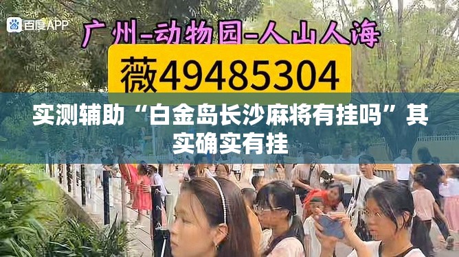 实测辅助“白金岛长沙麻将有挂吗”其实确实有挂