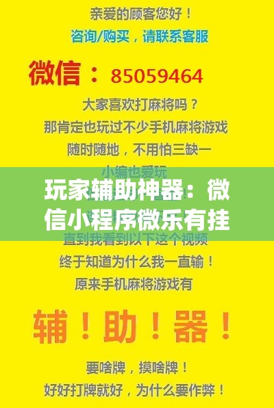 玩家辅助神器：微信小程序微乐有挂吗(透视)	”开挂辅助脚本+详细开挂安装教程