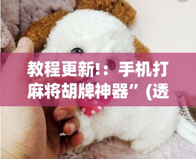 教程更新!：手机打麻将胡牌神器”(透视挂)辅助下载教程