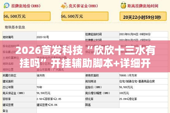 2026首发科技“欣欣十三水有挂吗”开挂辅助脚本+详细开挂安装教程