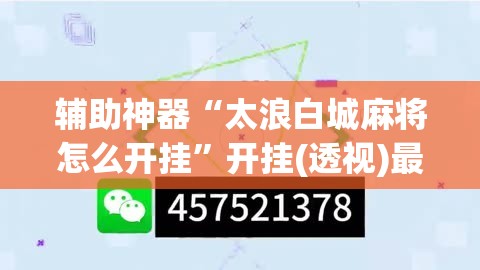 辅助神器“太浪白城麻将怎么开挂”开挂(透视)最新辅助详细