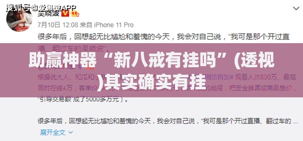 助赢神器“新八戒有挂吗”(透视)其实确实有挂