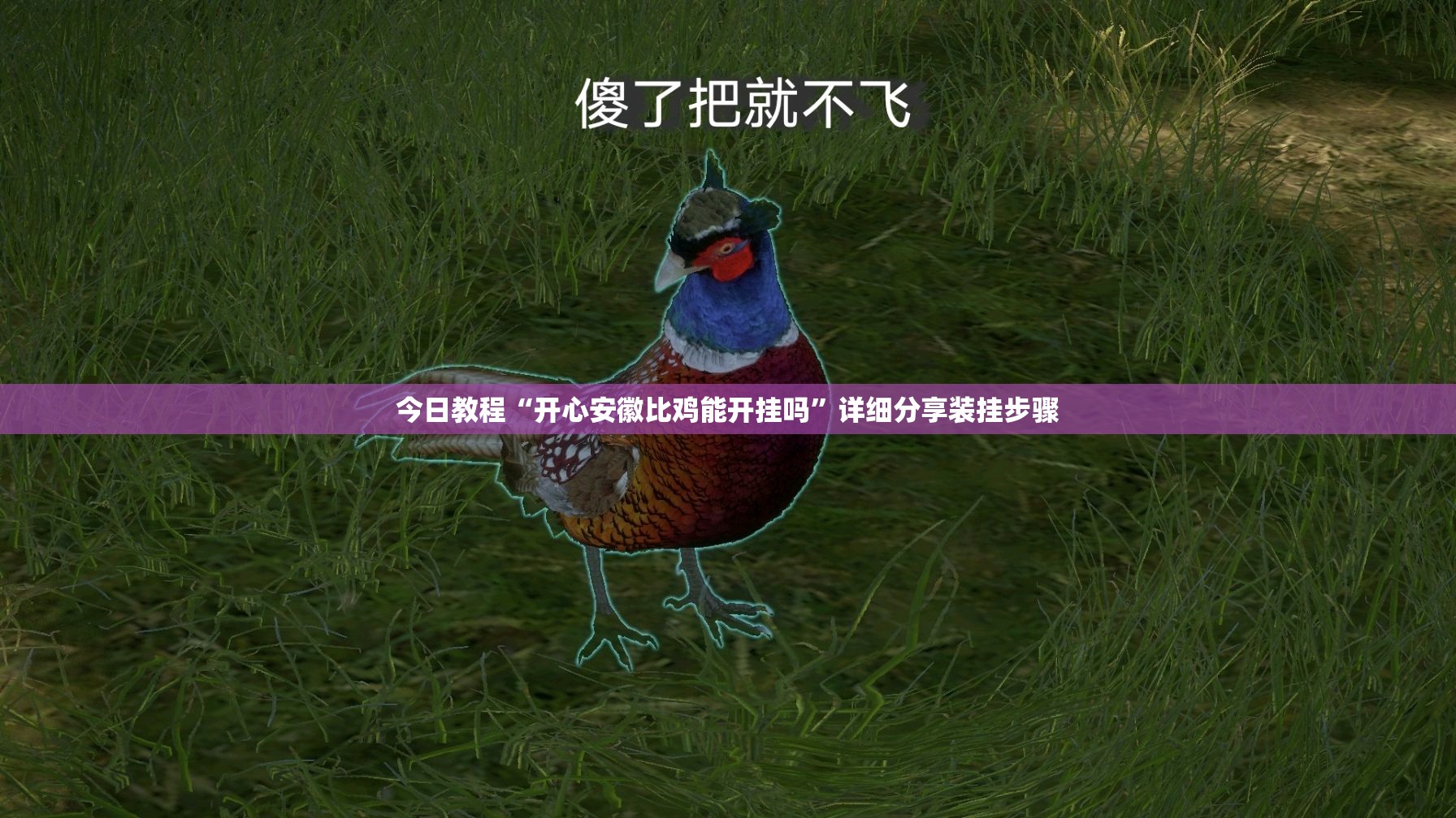 今日教程“开心安徽比鸡能开挂吗”详细分享装挂步骤