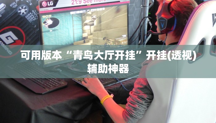 可用版本“青鸟大厅开挂”开挂(透视)辅助神器