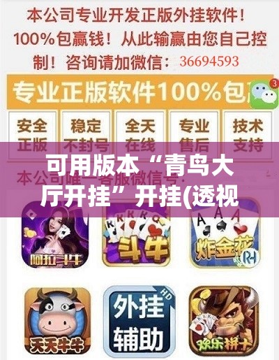 可用版本“青鸟大厅开挂”开挂(透视)辅助神器