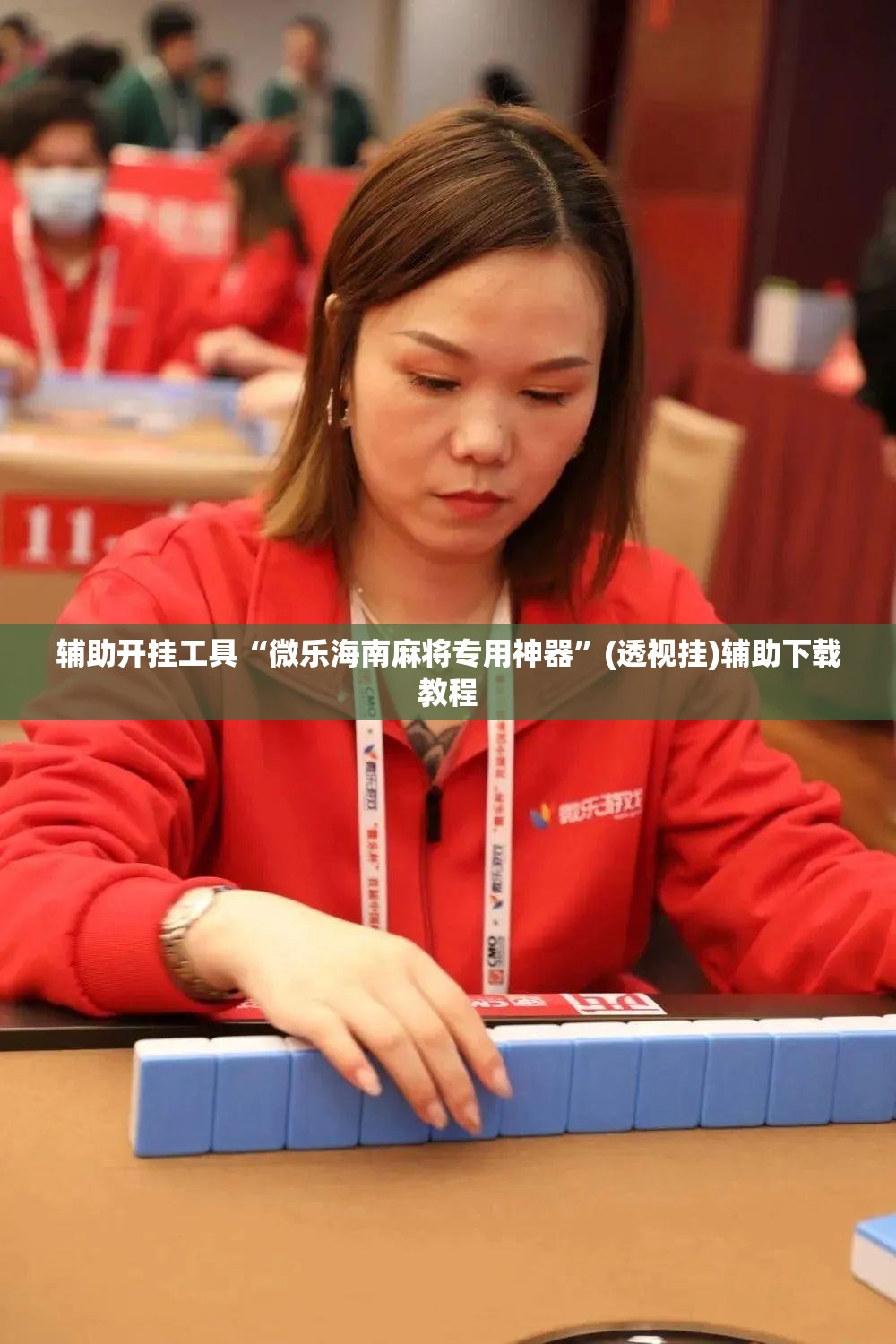 辅助开挂工具“微乐海南麻将专用神器”(透视挂)辅助下载教程