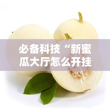 必备科技“新蜜瓜大厅怎么开挂”开挂详细教程