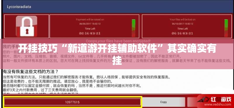 开挂技巧“新道游开挂辅助软件”其实确实有挂