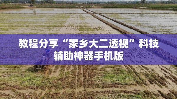 教程分享“家乡大二透视”科技辅助神器手机版