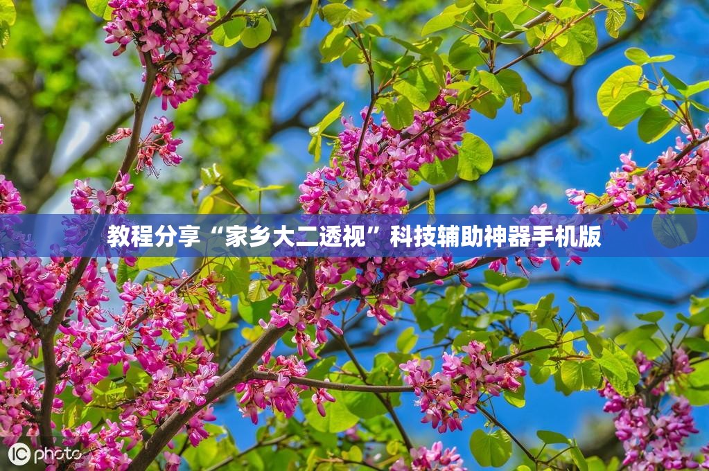教程分享“家乡大二透视”科技辅助神器手机版