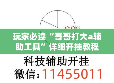 玩家必读“哥哥打大a辅助工具”详细开挂教程