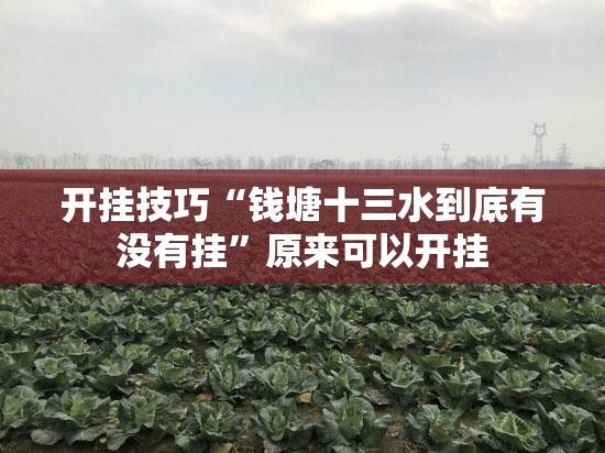 开挂技巧“钱塘十三水到底有没有挂”原来可以开挂