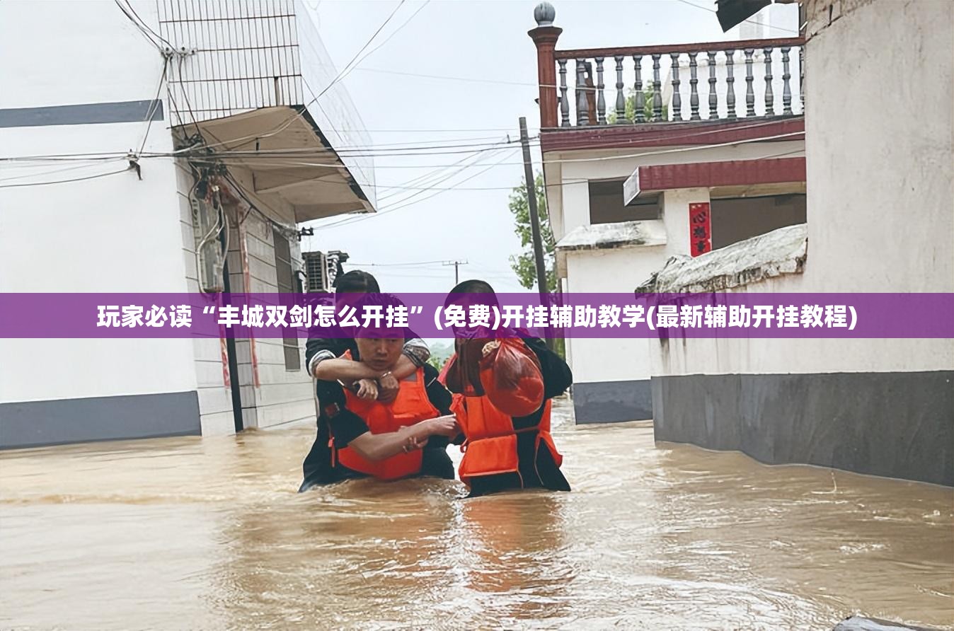 玩家必读“丰城双剑怎么开挂”(免费)开挂辅助教学(最新辅助开挂教程)
