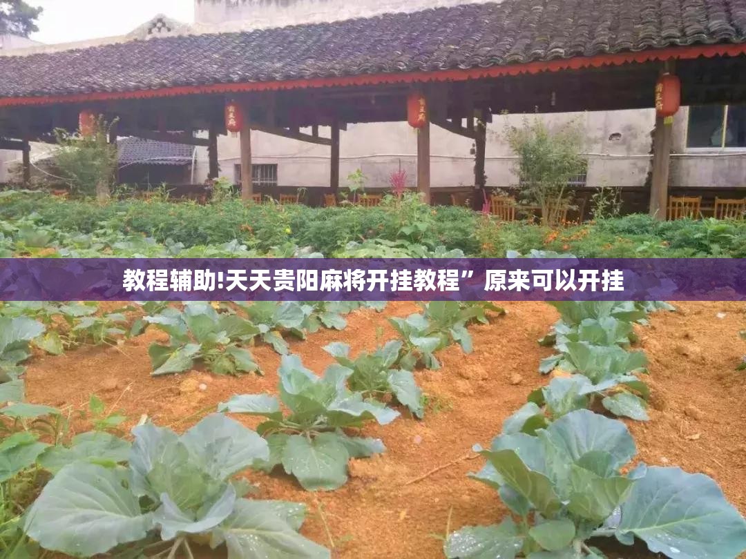 教程辅助!天天贵阳麻将开挂教程”原来可以开挂