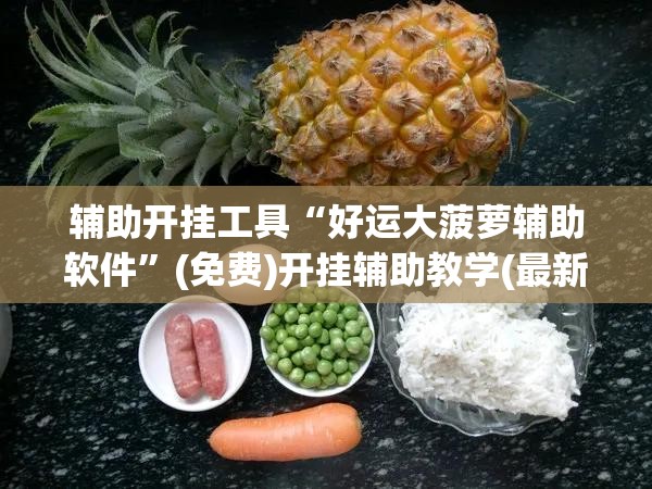 辅助开挂工具“好运大菠萝辅助软件	”(免费)开挂辅助教学(最新辅助开挂教程)