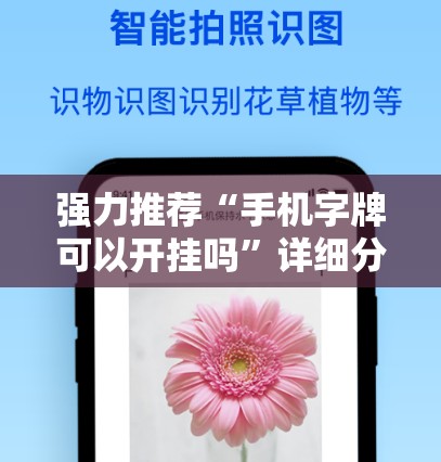 强力推荐“手机字牌可以开挂吗	”详细分享装挂步骤