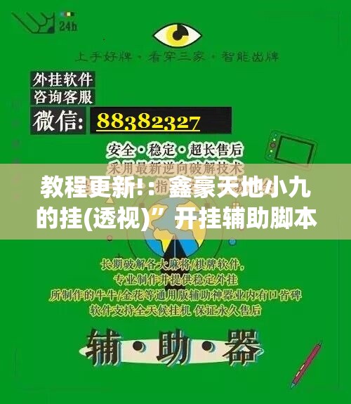 教程更新!：鑫豪天地小九的挂(透视)”开挂辅助脚本+详细开挂安装教程