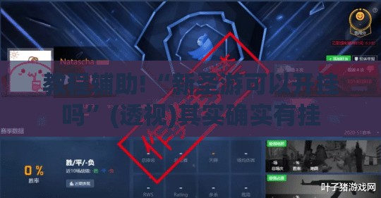 教程辅助!“新圣游可以开挂吗	”(透视)其实确实有挂