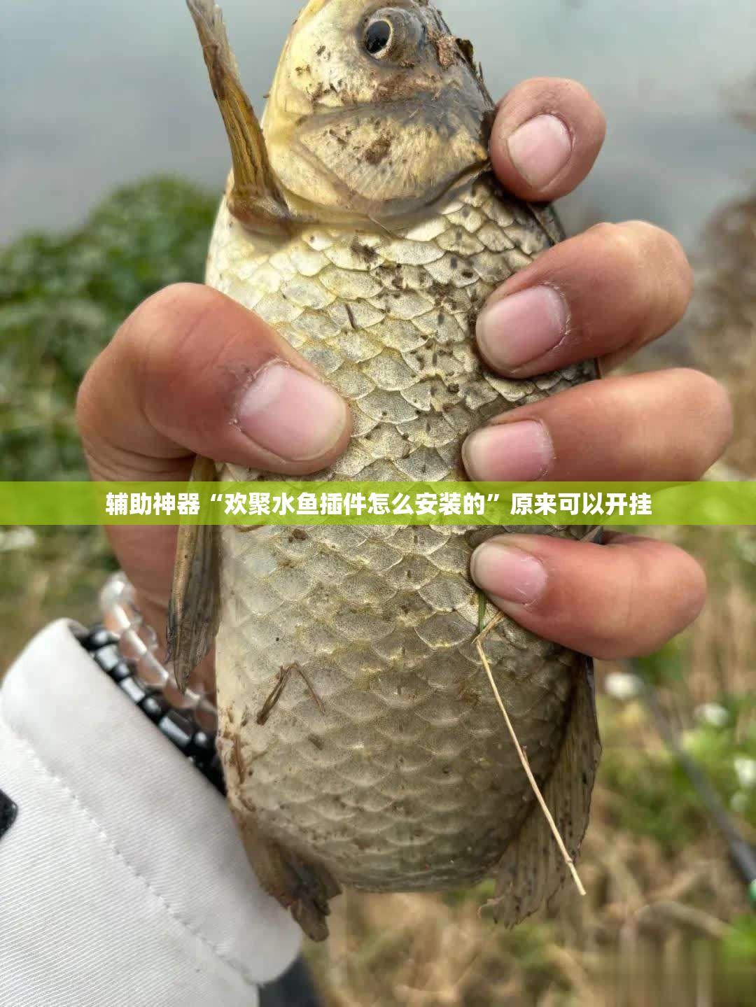 辅助神器“欢聚水鱼插件怎么安装的”原来可以开挂