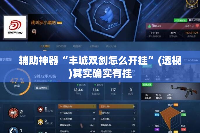 辅助神器“丰城双剑怎么开挂”(透视)其实确实有挂