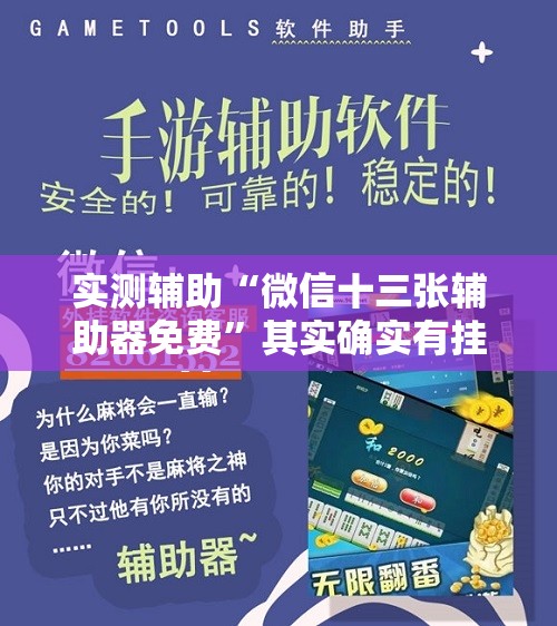 实测辅助“微信十三张辅助器免费”其实确实有挂