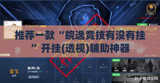 推荐一款“皖逸竞技有没有挂”开挂(透视)辅助神器