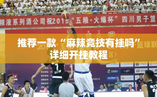 推荐一款“麻辣竞技有挂吗	”详细开挂教程