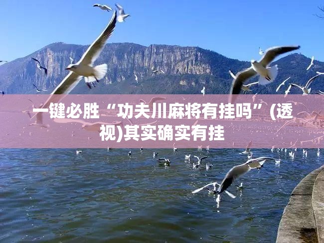 一键必胜“功夫川麻将有挂吗”(透视)其实确实有挂