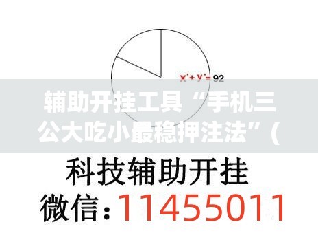 辅助开挂工具“手机三公大吃小最稳押注法	”(透视挂)辅助下载教程