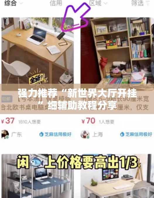 强力推荐“新世界大厅开挂	”细辅助教程分享