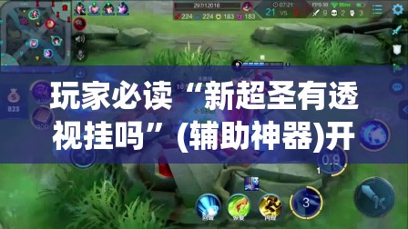 玩家必读“新超圣有透视挂吗”(辅助神器)开挂详细教程