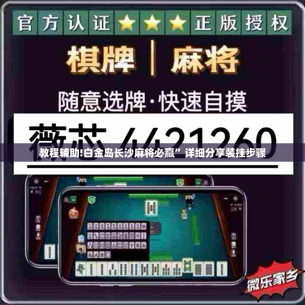 教程辅助!白金岛长沙麻将必赢	”详细分享装挂步骤