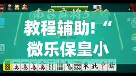 教程辅助!“微乐保皇小程序怎么抓好牌(透视)	”开挂辅助脚本+详细开挂安装教程