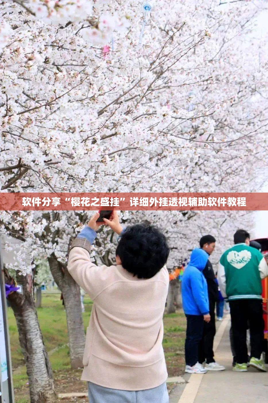 软件分享“樱花之盛挂”详细外挂透视辅助软件教程