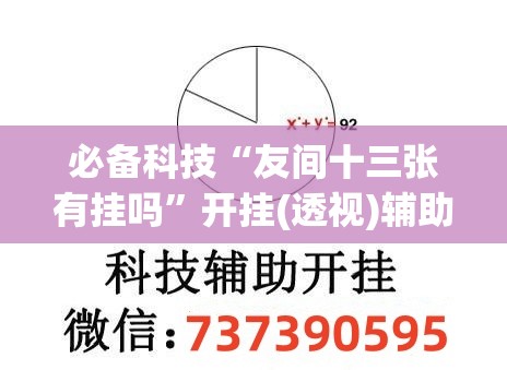 必备科技“友间十三张有挂吗”开挂(透视)辅助教程