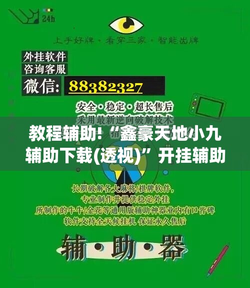教程辅助!“鑫豪天地小九辅助下载(透视)	”开挂辅助脚本+详细开挂安装教程