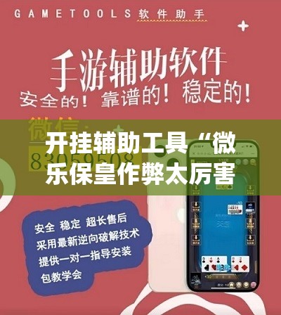 开挂辅助工具“微乐保皇作弊太厉害(透视)	”开挂辅助脚本+详细开挂安装教程