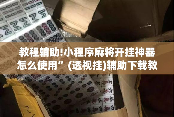 教程辅助!小程序麻将开挂神器怎么使用”(透视挂)辅助下载教程