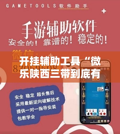 开挂辅助工具“微乐陕西三带到底有没有挂”细辅助教程分享