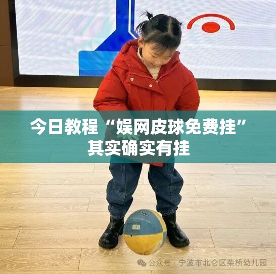 今日教程“娱网皮球免费挂”其实确实有挂